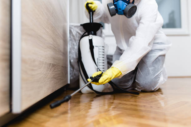 Pest Control for Restaurants in Springdale, OH