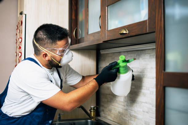 Best Affordable Pest Control Services  in Springdale, OH