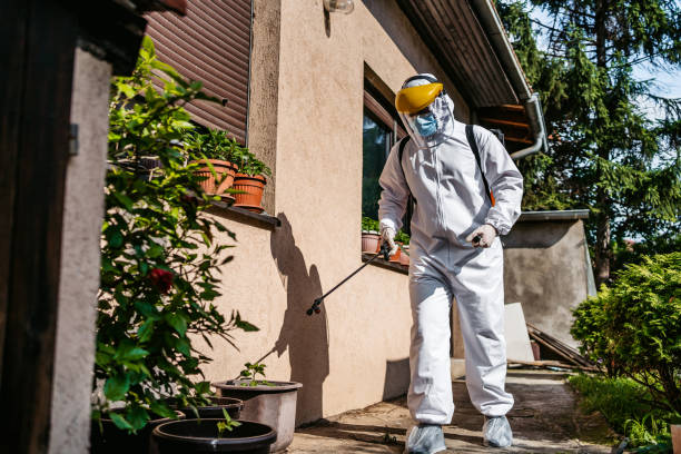 Reliable Springdale, OH Pest Control Solutions