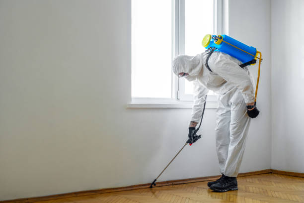 Best Pest Control for Businesses  in Springdale, OH