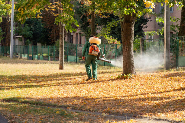 Best Local Pest Control Services  in Springdale, OH