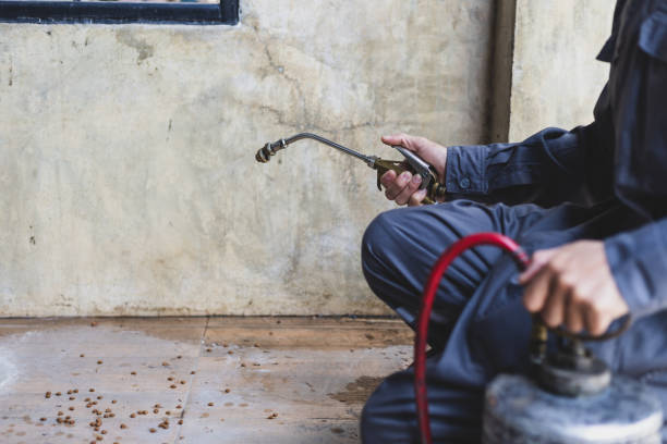 Best Mosquito Control Services  in Springdale, OH