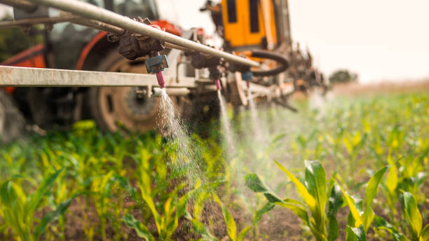 Best Wildlife Control Services  in Springdale, OH