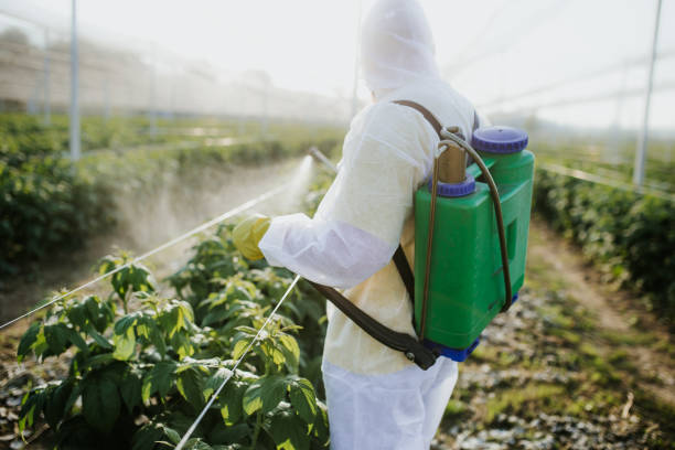 Best Pest Control Near Me  in Springdale, OH